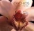Orchids