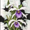 Sandi Olsen, Orchid Dreaming