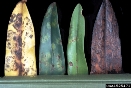 Ringspot Strain of TMV (syn. Odontoglossum Ringspot Virus) on Orchid - photo courtesy of Department of Plant Pathology Archive, North Carolina State University
