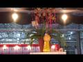 Videos of Orchid Shows and Festivals