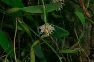 Image 119-11
