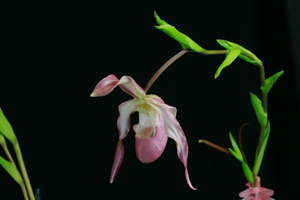 Image 121-11