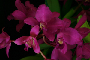 Image 121-5