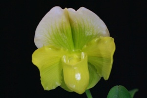 Image 123-8
