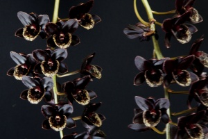 Image 146-6