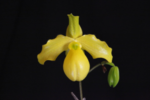 Image 148-10