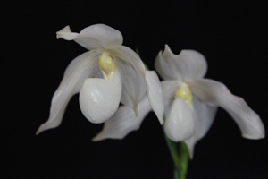 Image 148-9