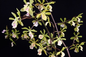 Image 149-6