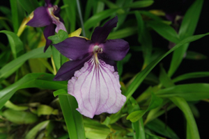 Image 153-8