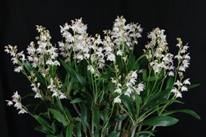 Image 159-5