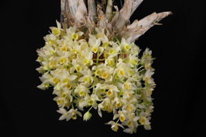 Image 178-2