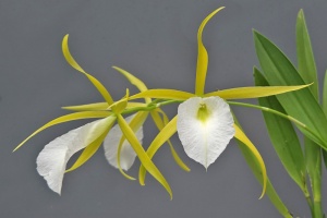 Image 273-3