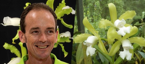 Monthly SAOS Meeting