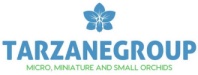 TarzaneGroup