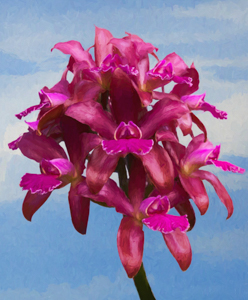 Image 2018-08