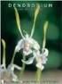 Dendrobium and its Relatives