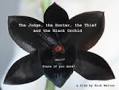 A History of the Orchid