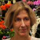 Sue Bottom