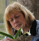 Linda Stewart