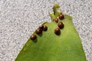 Image 13