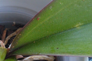Image 14