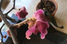 Blisters on Phal Flower Stem