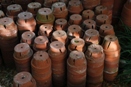 Sterilize Used Pots