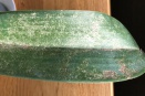 Phal has Sunken Markings