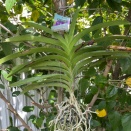 Sunburn Damage